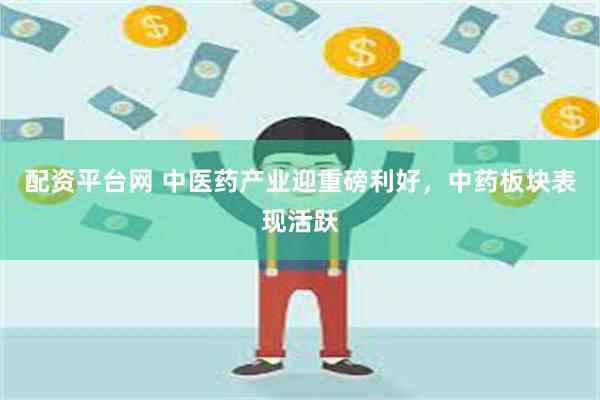 配资平台网 中医药产业迎重磅利好，中药板块表现活跃