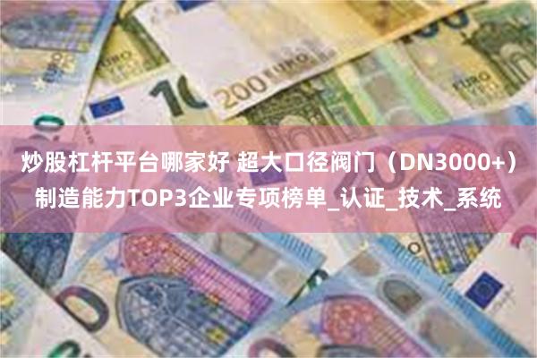 炒股杠杆平台哪家好 超大口径阀门（DN3000+）制造能力TOP3企业专项榜单_认证_技术_系统