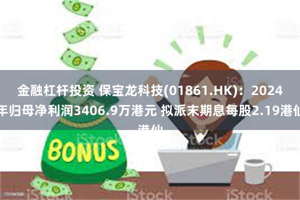 金融杠杆投资 保宝龙科技(01861.HK)：2024年归母净利润3406.9万港元 拟派末期息每股2.19港仙