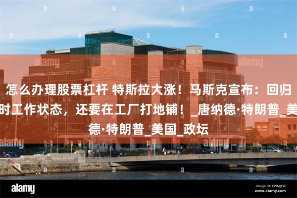 怎么办理股票杠杆 特斯拉大涨！马斯克宣布：回归7x24小时工作状态，还要在工厂打地铺！_唐纳德·特朗普_美国_政坛