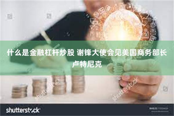 什么是金融杠杆炒股 谢锋大使会见美国商务部长卢特尼克