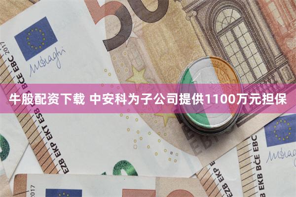 牛股配资下载 中安科为子公司提供1100万元担保