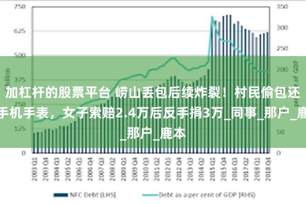 加杠杆的股票平台 崂山丢包后续炸裂！村民偷包还毁手机手表，女子索赔2.4万后反手捐3万_同事_那户_鹿本